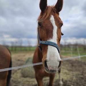 Nadzieja i Prometeusz 3-24 (2)