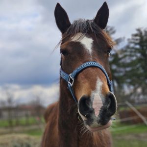 Nadzieja i Prometeusz 3-24 (3)