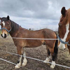 Nadzieja i Prometeusz 3-24 (4)