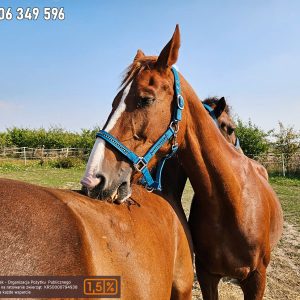 Nadzieja i Prometeusz 9-23 (2)