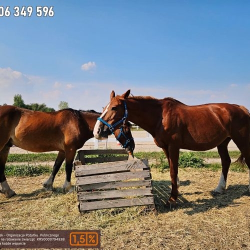 Nadzieja i Prometeusz 9-23 (3)