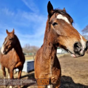 NadziejaiPrometeusz (1)