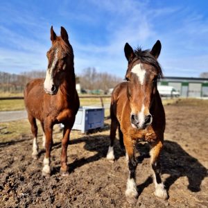 NadziejaiPrometeusz (2)