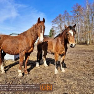 NadziejaiPrometeusz (3)