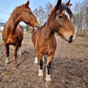 NadziejaiPrometeusz (4)