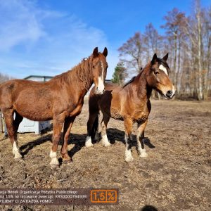 NadziejaiPrometeusz (6)