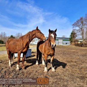 NadziejaiPrometeusz (7)