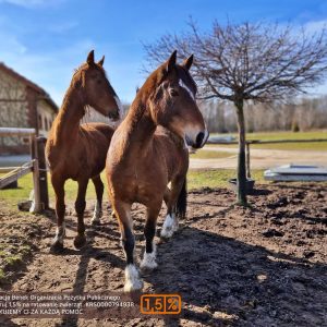 NadziejaiPrometeusz (8)