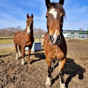 NadziejaiPrometeusz (9)