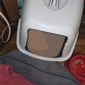 Pikolusia i Nuka (12)