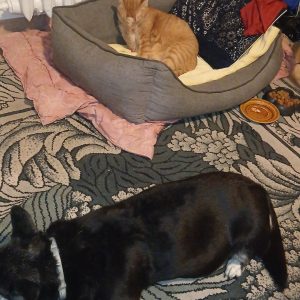 Pikolusia i Nuka (21)