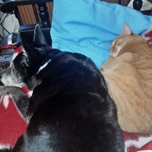 Pikolusia i Nuka (3)