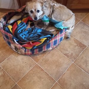 Tila po operacji 11-24 (1)