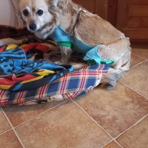 Tila po operacji 11-24 (2)