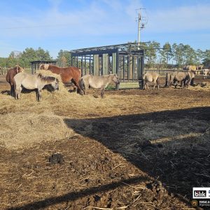 Tymek i reszta kp (1)