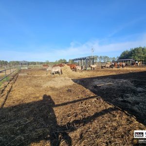 Tymek i reszta kp (2)