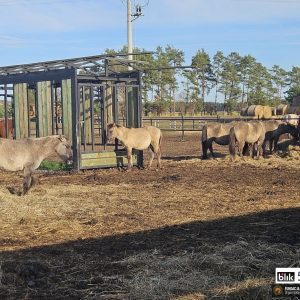 Tymek i reszta kp (3)