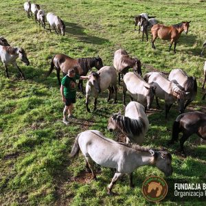 Zapraszamy do Benkowa (3)