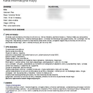 Zrzut ekranu 2024-06-13 193602