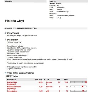 Zrzut ekranu 2025-04-29 052325