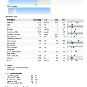 Zrzut ekranu 2025-04-29 052349