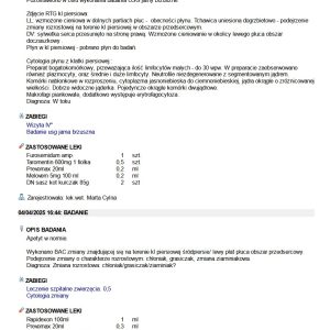 Zrzut ekranu 2025-04-29 052406