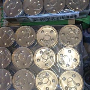 Zwierzaki Pani Agnieszki (2)