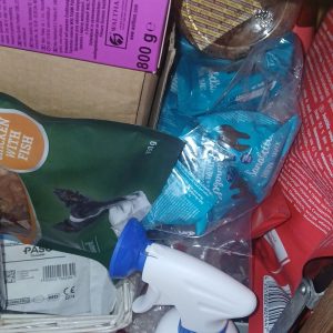 Zwierzaki Pani Agnieszki (3)