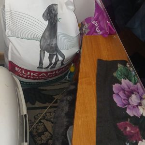 Zwierzaki Pani Agnieszki (6)