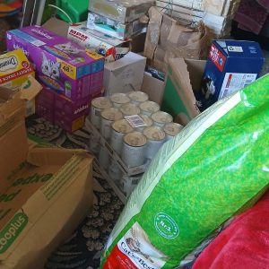 Zwierzaki Pani Agnieszki (7)