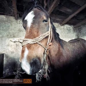 batch_Prometeusz (2)