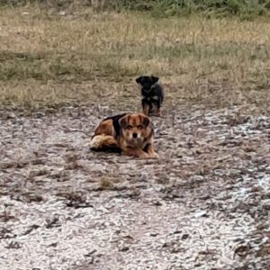 bezdomna rodzina (1)