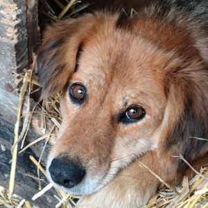 bezdomna rodzina (1)