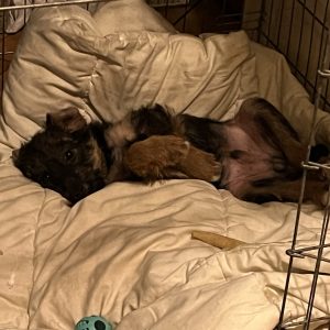 bezdomna rodzina (2)