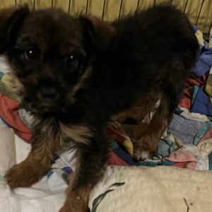 bezdomna rodzina (3)