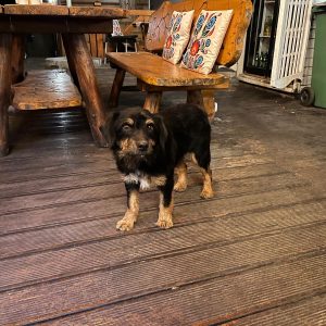 bezdomna rodzina (4)