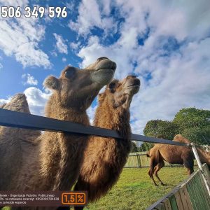 nowa studnica weekend 10-23 (1)