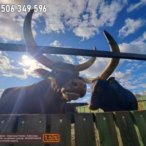 nowa studnica weekend 10-23 (10)