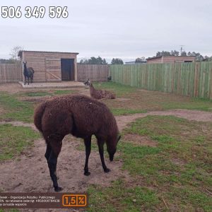 nowa studnica weekend 10-23 (11)