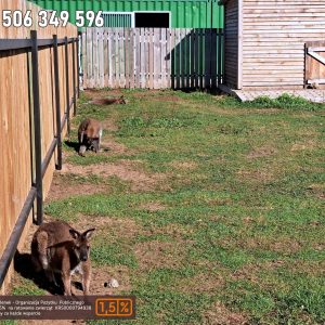 nowa studnica weekend 10-23 (12)