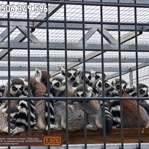 nowa studnica weekend 10-23 (14)