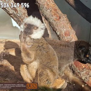 nowa studnica weekend 10-23 (16)