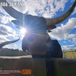 nowa studnica weekend 10-23 (17)