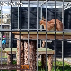 nowa studnica weekend 10-23 (18)