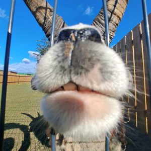 nowa studnica weekend 10-23 (19)