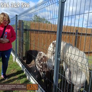 nowa studnica weekend 10-23 (2)