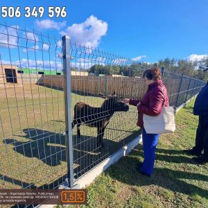 nowa studnica weekend 10-23 (20)