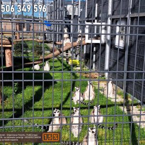 nowa studnica weekend 10-23 (21)