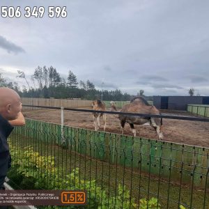 nowa studnica weekend 10-23 (27)