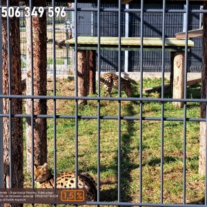 nowa studnica weekend 10-23 (30)